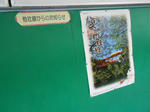 20131019j.JPG