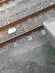 20131021d.JPG
