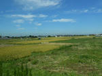 20131023g.JPG