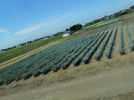 20131023h.JPG
