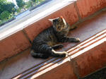 20131027g.JPG
