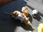 20131027h.JPG