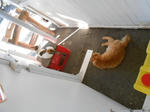 20131027i.JPG