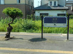 20131031i.JPG