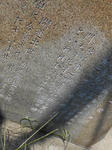20131104b.JPG