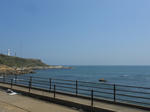 20131105d.JPG