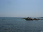 20131105e.JPG