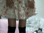 20131101f.jpg
