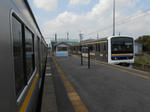 20131106c.JPG