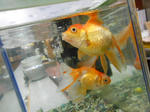 20131107a.JPG