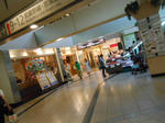 20131107h.JPG