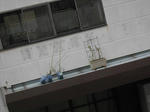 20131110b.JPG