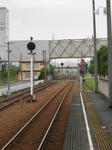 20131111f.JPG