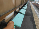 20131112c.JPG