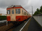 20131112e.JPG
