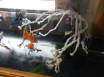 20131116d.JPG