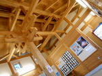 20131117e.JPG