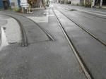 20131117f.JPG