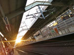 20131122a.JPG