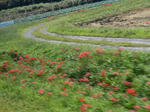 20131123e.JPG