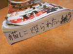 20131129f.JPG