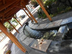 20131211j.JPG
