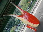 20131221j.JPG