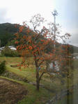 20131223a.JPG