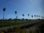 20131227h.jpg