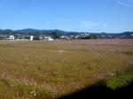 20131228b.jpg