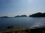20131228g.jpg