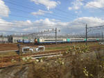 20140114f.JPG