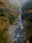 20140125g.JPG