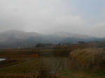 20140126a.JPG