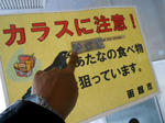 20140127a.JPG