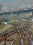 20140127g.JPG