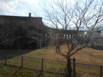 20140203k.JPG