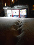 20140207j.JPG