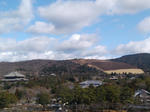 20140210a.JPG