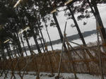 20140211k.JPG