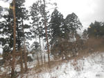 20140213e.JPG