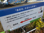 20140220e.JPG