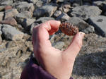 20140220i.JPG