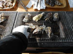 20140224f.JPG