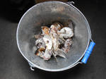 20140224j.JPG