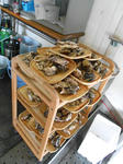 20140225f.JPG
