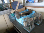 20140304f.JPG