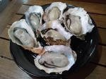 20140310k.JPG
