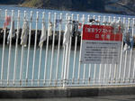 20140312f.JPG
