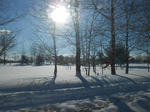 20140314d.JPG